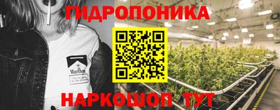 apvp Коммунар