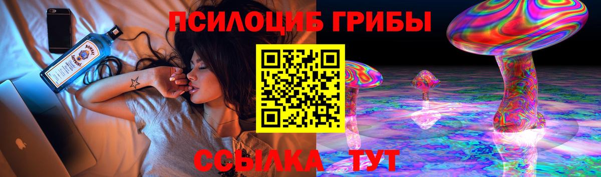 Каменск-Уральский  как найти   Вход с VPN  Псилоцибиновые грибы прущие грибы  Галлюциногенные грибы Psilocybine cubensis 